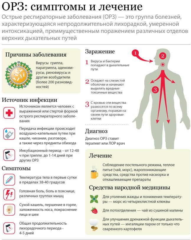 Симптомы и лечение ОРЗ