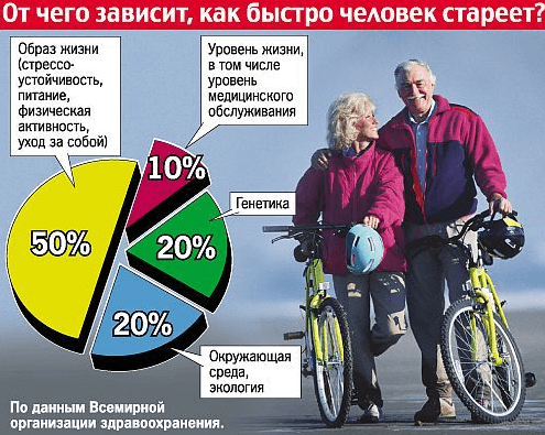 Факторы, влияющие на старение человека