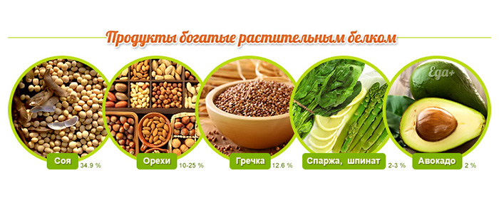Продукты, богатые растительным белком