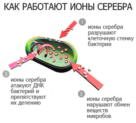 Как работают ионы серебра