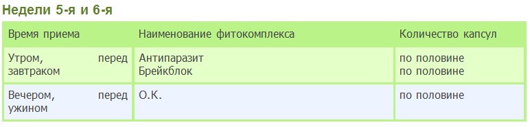 5-я и 6-я недели