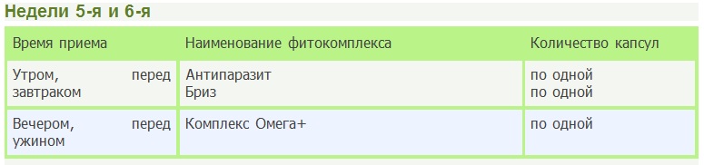 5-я и 6-я недели