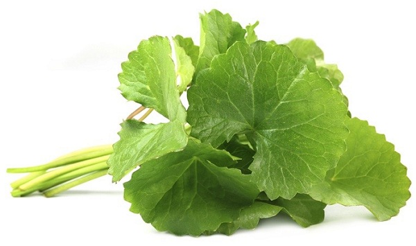 Готу кола (центелла азиатская)