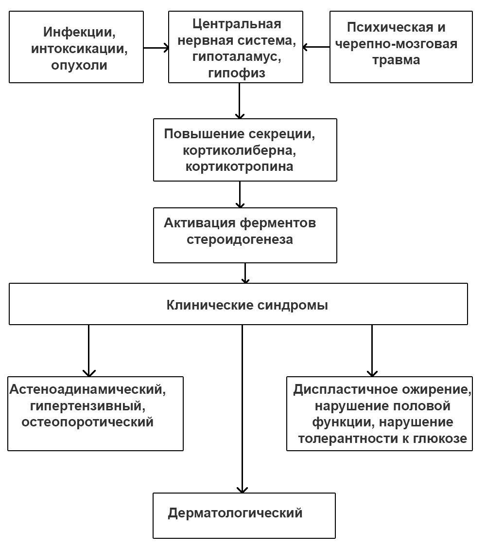 Патогенез болезни Иценко-Кушинга