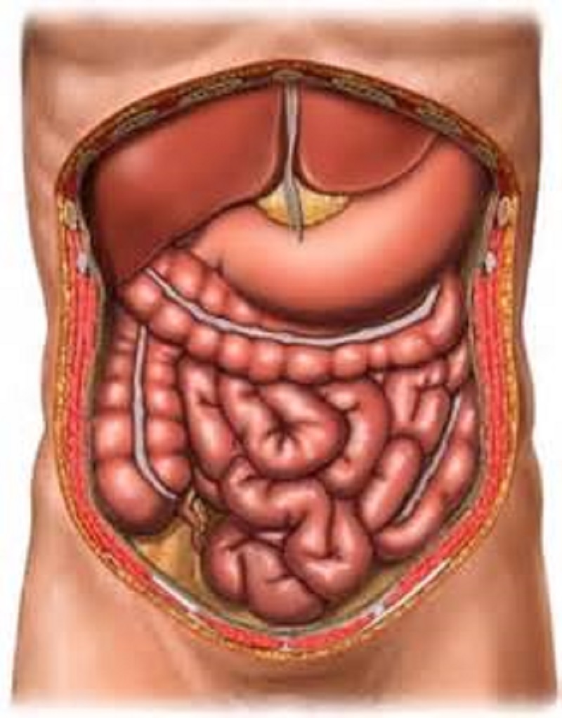 Острый живот