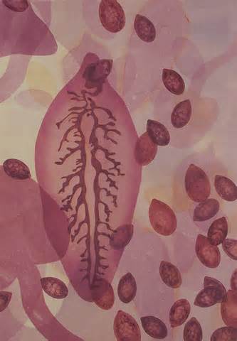 Фасциолез вызванный печеночной двуусткой Fasciola hepatica