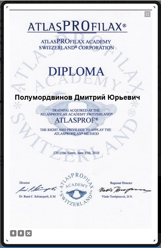 Диплом Полумордвинов Д.Ю. 