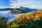 Get to Know PAFI Pasuruan City and Its Activities