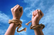 7 шагов к новым привычкам 7 шагов к новым привычкам