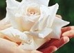 Otrada Beauty - Салон красоты