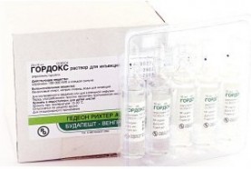 Гордокс