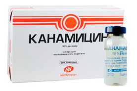 Канамицин