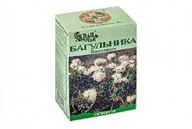 Багульника болотного побеги