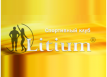 Спортивный клуб «Литиум»