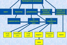 Структура общественной организации "Солнечный круг"
