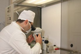 Центр акушерства, гинекологии и репродукции МЗО Украины