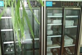 Областной межрайонный диагностический центр в г. Коростень