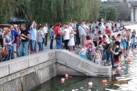 Николаевское областное отделение Всеукраинской благотворительной организации "Всеукраинская сеть ЛЖВ"