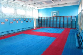 Черниговский спортивный клуб "Легион"