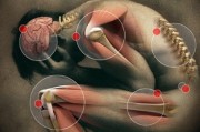 Проблемы в клеточных энергетических станциях и их последствия
