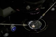 Метод CRISPR одержал победу над ВИЧ! Что дальше?