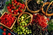 Диабет отступает перед красным вином, ягодами и шоколадом Диабет отступает перед красным вином, ягодами и шоколадом
