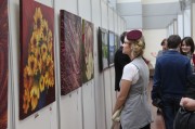Эмоции от просмотра произведений искусства улучшают качество жизни