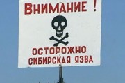 Сибирская язва атаковала, граничащий с Украиной, район Молдовы Сибирская язва атаковала, граничащий с Украиной, район Молдовы
