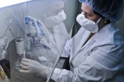 Совсем скоро российские специалисты представят эффективные вакцины против свиного гриппа и оспы Совсем скоро российские специалисты представят эффективные вакцины против свиного гриппа и оспы
